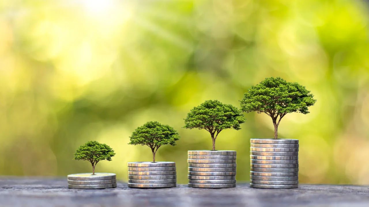 A importância de ter um orçamento mensal: como transformei minha vida financeira em 30 dias